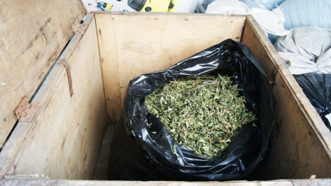 Житель Лискинского района получил условный срок за хранение марихуаны