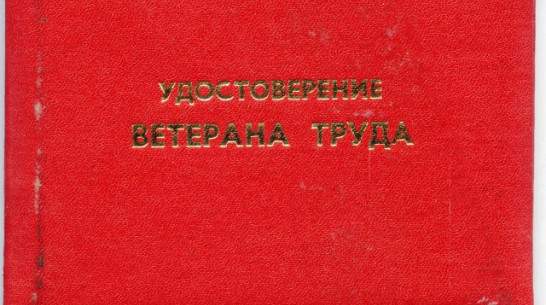 Пенсионер из Воронежской области отстоял право на звание «Ветеран труда»