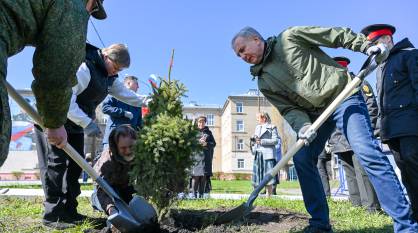 В Воронеже на территории Михайловского кадетского корпуса высадили молодые ели в память об участниках СВО