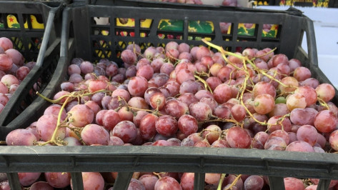 В Воронеже уничтожили 1,6 т турецких персиков и винограда