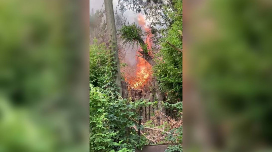 В Воронеже сняли на видео пожар в частном доме в районе Спортивной набережной