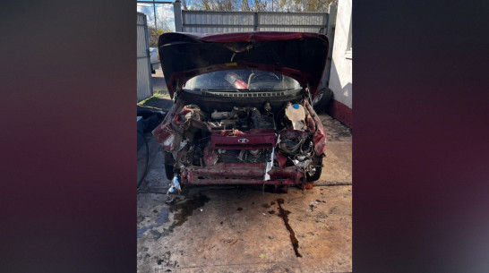 В Воронежской области перед движущейся легковушкой внезапно упало дерево: пострадал водитель