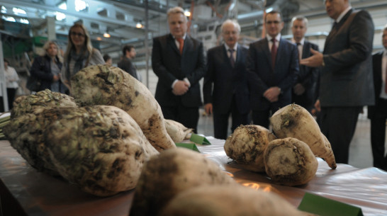 Воронежская область вошла в число пилотных проектов по развитию органического производства