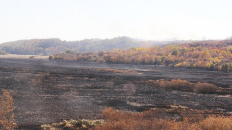 Под Рамонью в выходные потушили 2 крупных ландшафтных пожара