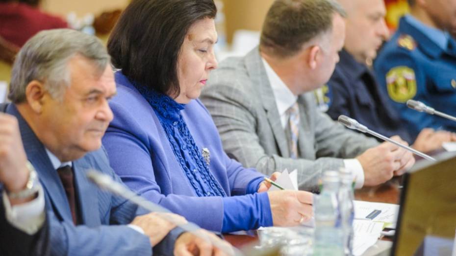 Воронежскому губернатору представили стратегию защиты прав человека на 2018 год