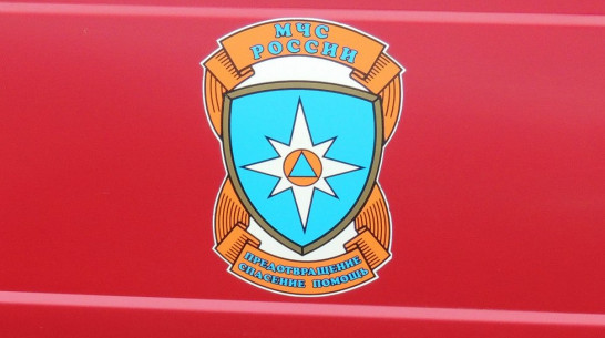 Спасатели Крыма поучатся у воронежских коллег