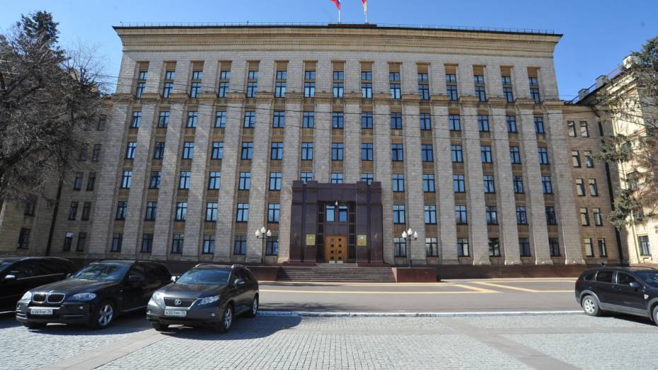 Здание правительства Воронежской области отремонтируют за 20 млн рублей