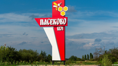 Хутор Пасеково победил в конкурсе «Самое красивое село Воронежской области»