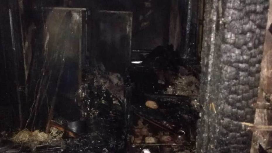  Пожар из-за непотушенной сигареты в Воронежской области унес жизни 2 человек