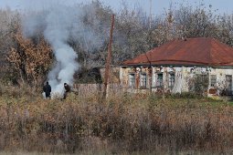 Воронежцев попросили высказаться о введении противопожарного режима