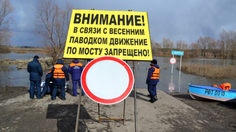 Московские спасатели проверили переправу у грибановского села Власовка
