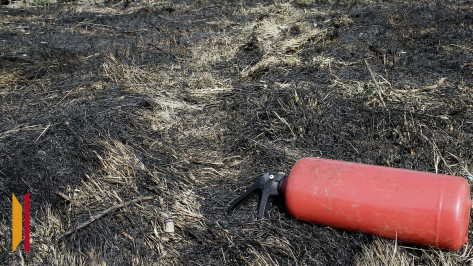 Ландшафтный пожар распространился на 3 га в поле под Воронежем
