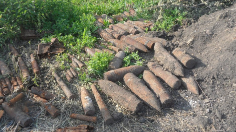 В Хохольском районе обнаружили сотни снарядов времен Великой Отечественной войны
