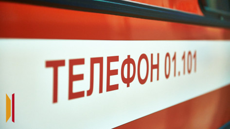 Две свиньи и 12 уток сгорели в ночном пожаре в Воронежской области