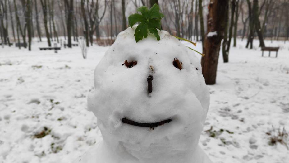 Массовое нашествие снеговиков охватило Воронежскую область