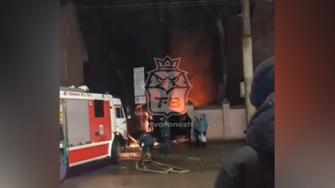 В Воронеже у ярмарки на улице Донбасской загорелись сараи: видео