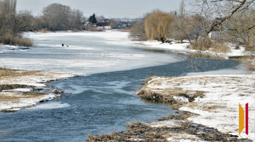 По уровню тепла 2025 год стал вторым в истории Хоперского заповедника Воронежской области