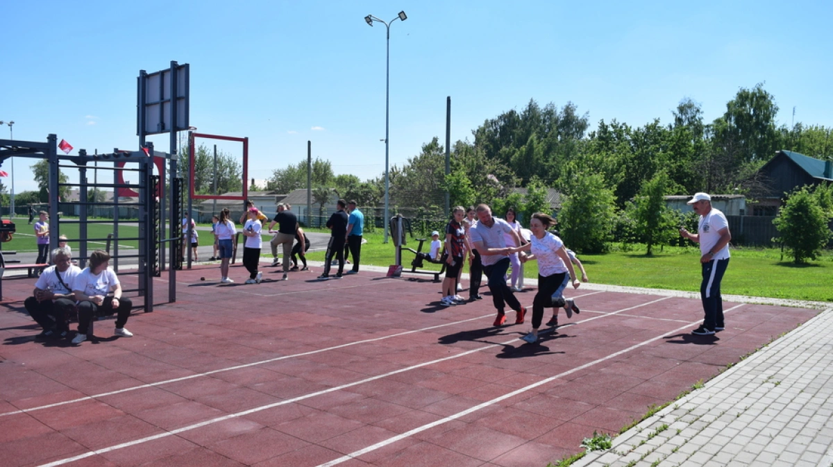 Спортивные площадки в Ломоносове