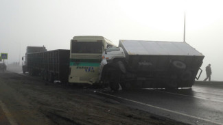 В массовом ДТП с автобусом «Белгород – Воронеж» пострадали 10 человек