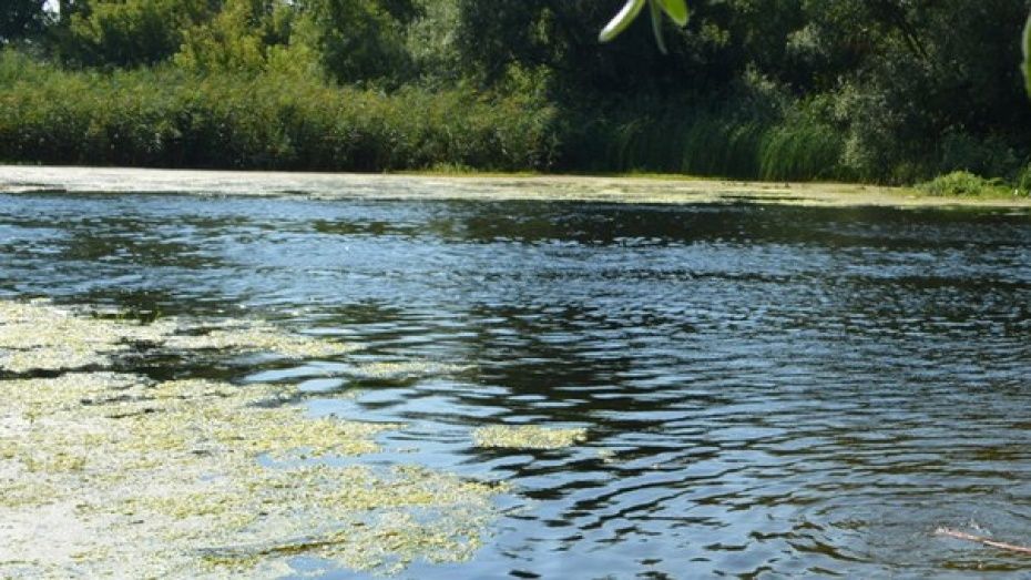 Жители Воронежской области за сутки нашли в водоемах тела 2 мужчин