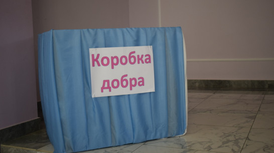 Акция помощи малообеспеченным семьям «Коробка добра» стартовала в Грибановском районе