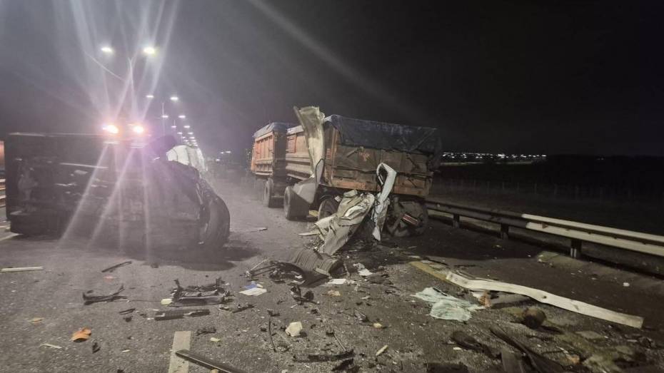 В Воронежской области микроавтобус врезался в КамАЗ: скончалась женщина