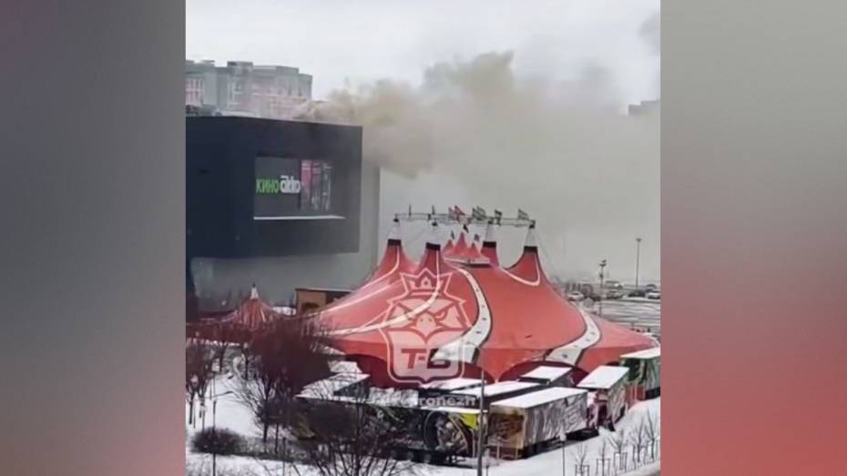 В Воронеже локализовали пожар в ТРК «Арена»: видео