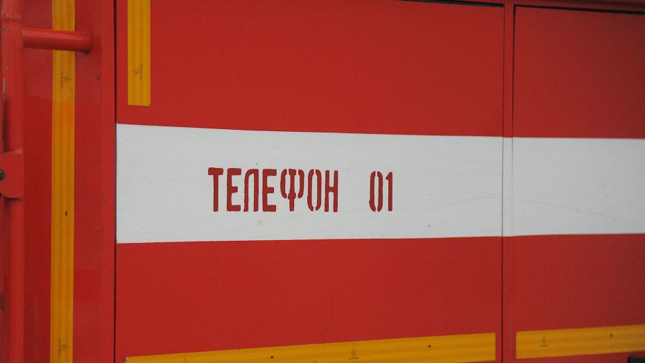 В Воронежской области водитель сгоревшего грузовика МАЗ получил ожоги лица