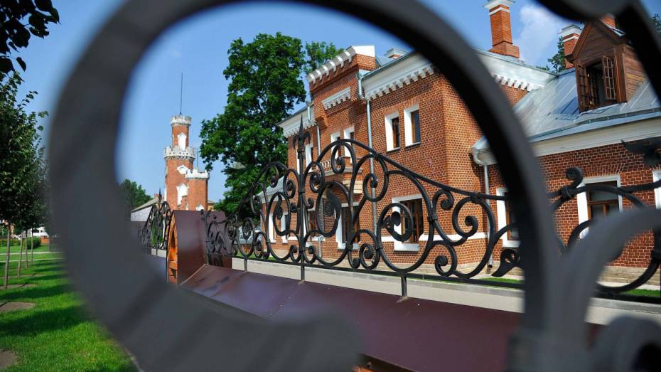 На проект реставрации Дома Тулиновых под Воронежем выделили 8,47 млн рублей