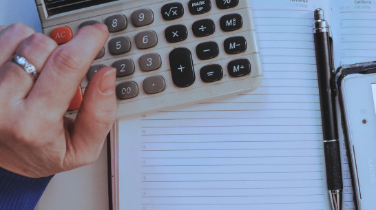 Воронежстат соберет данные о доходах 816 домашних хозяйств