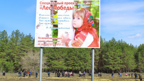Житель Семилук заплатит штраф за опустошение ассенизаторской машины по соседству с «Лесом Победы»