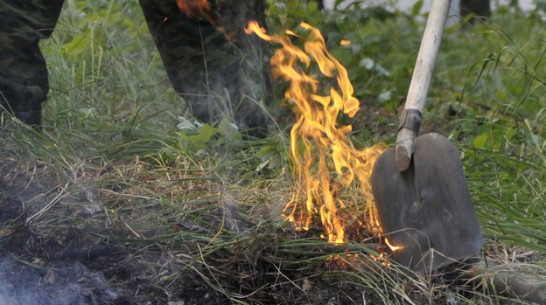 В Воронежской области в Донском лесничестве тушили пожар 