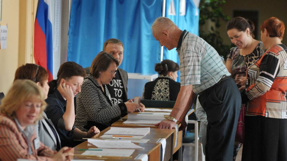 В Воронежской области 7 и 8 сентября пройдут выборы в органы местного самоуправления