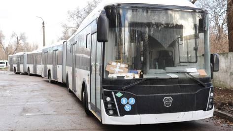 В Воронеж прибыли первые автобусы-гармошки
