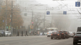Сильный ветер и туман прогнозируют в Воронежской области в дополнение к заморозкам