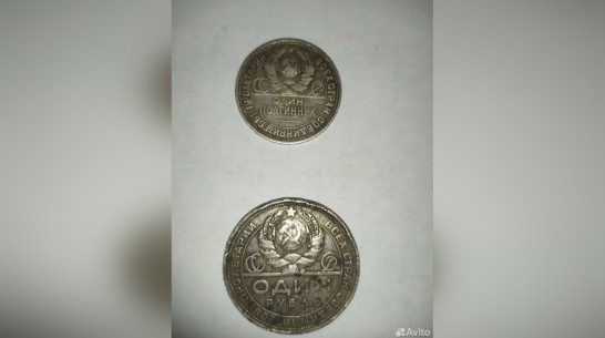 В Воронеже продают две серебряные монеты 1924 года за 350 млн рублей