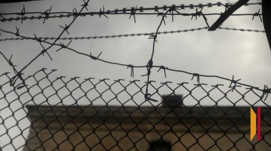 В Воронеже директору УК дали 2 года колонии общего режима за гибель 19-летней девушки от упавшего дерева