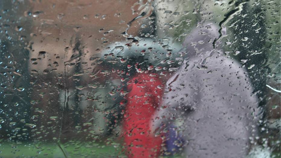 Дождь пойдет в Воронеже в начале новой недели