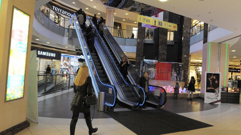 В Воронежской области возбудили 242 дела после проверок крупных торговых центров