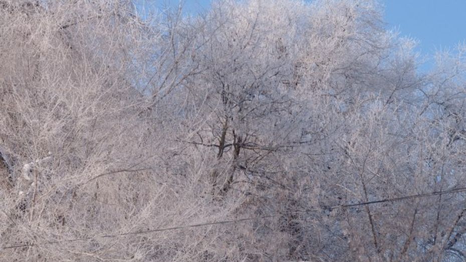 Снегопад оставил без света жителей пяти районов Воронежской области