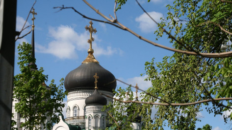 В Воронеже запретят парковку в районе Благовещенского собора