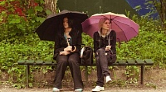 Воронежцы: Центральный парк города должен называться «Динамо»