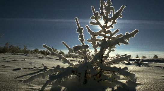 Мэрия Воронежа сдаст в аренду базу отдыха за 320 тыс рублей в год