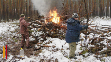 Неликвидную древесину начали сжигать в воронежских лесничествах