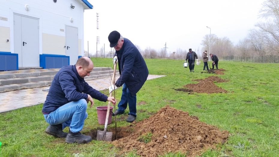В Воробьевском районе высадят 9 тыс молодых деревьев в память о земляках-фронтовиках