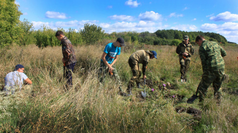 Поисковики нашли останки 40 военных вермахта в Воронежской области