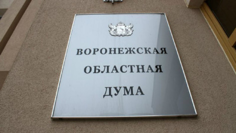 Облдума утвердила бюджет Воронежской области на 2017 год