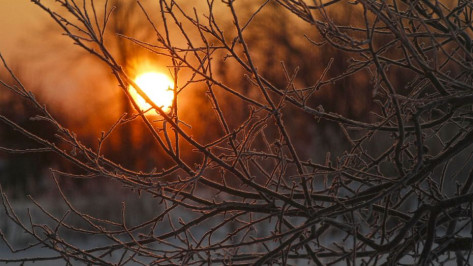 Штормовое предупреждение объявили в Воронежской области из-за аномальных морозов