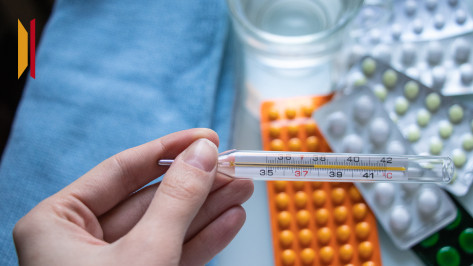 В Воронежской области за неделю ОРВИ заболели более 11,3 тыс человек