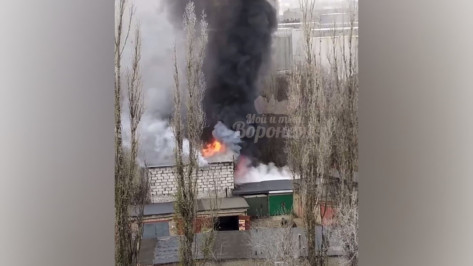 Два мотоцикла и машина сгорели в гараже на улице Димитрова в Воронеже